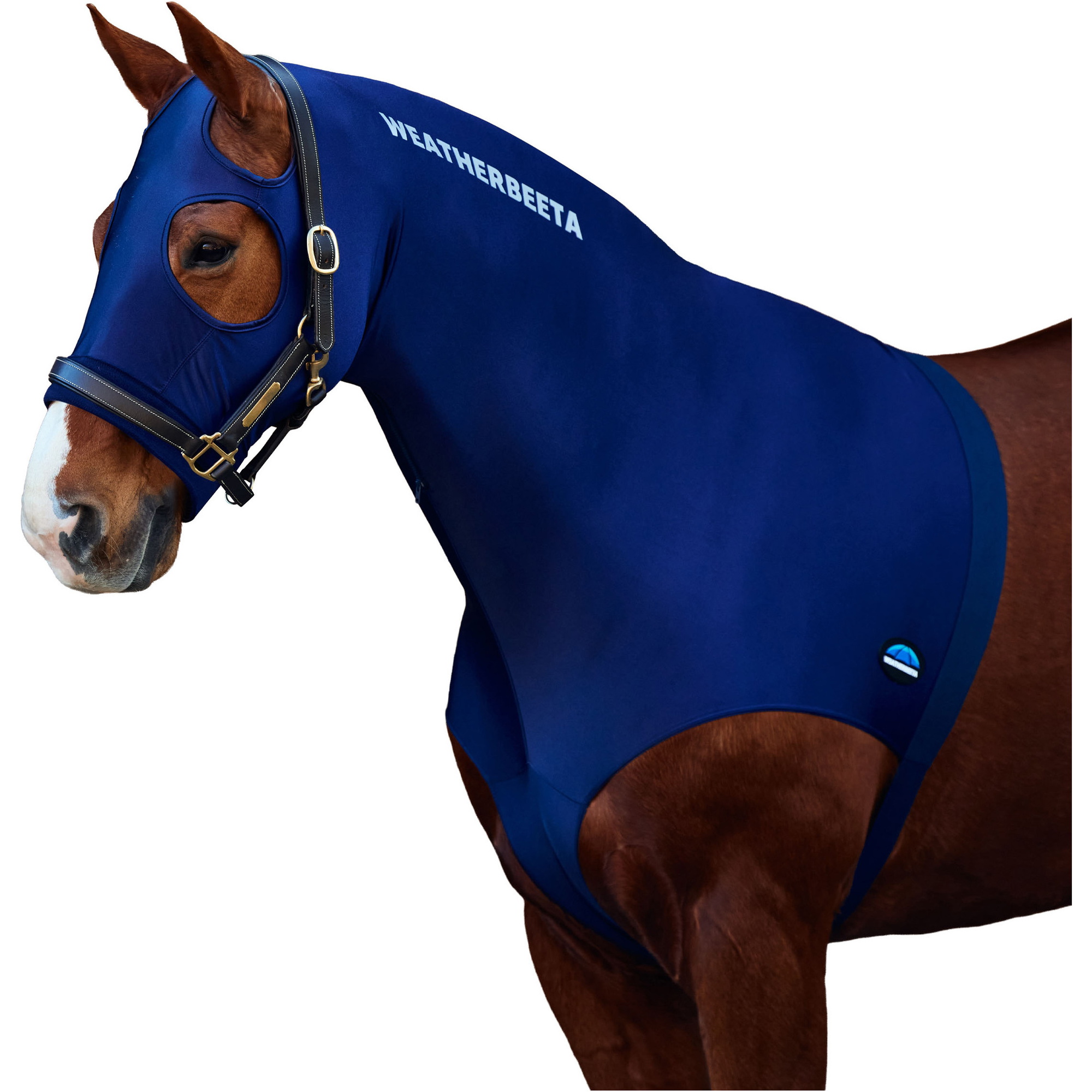 Weatherbeeta Stretch Hood With Zip 589536 - Navy